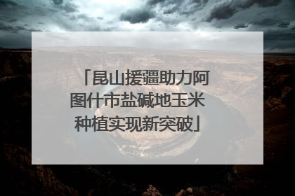 昆山援疆助力阿图什市盐碱地玉米种植实现新突破