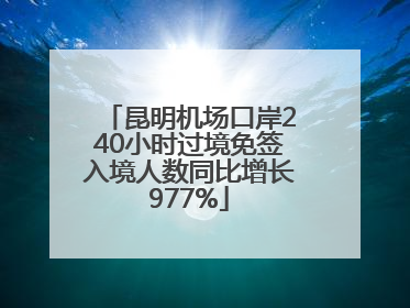 昆明机场口岸240小时过境免签入境人数同比增长977%