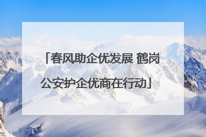 春风助企优发展 鹤岗公安护企优商在行动