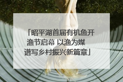 昭平湖首届有机鱼开渔节启幕 以渔为媒 谱写乡村振兴新篇章