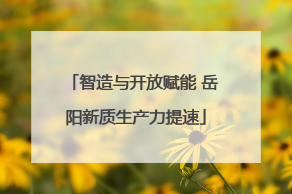 智造与开放赋能 岳阳新质生产力提速