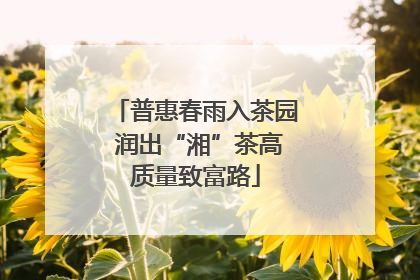 普惠春雨入茶园 润出“湘”茶高质量致富路