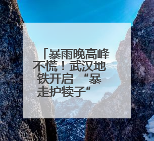 暴雨晚高峰不慌！武汉地铁开启 “暴走护犊子” 模式