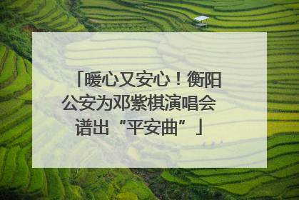 暖心又安心！衡阳公安为邓紫棋演唱会谱出“平安曲”