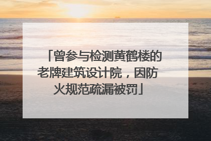 曾参与检测黄鹤楼的老牌建筑设计院，因防火规范疏漏被罚
