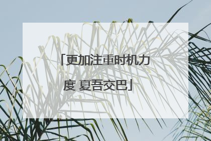 更加注重时机力度 夏吾交巴