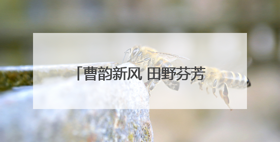 曹韵新风 田野芬芳 菏泽曹县2025年乡村歌唱大赛（东部赛区复赛）举办