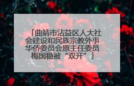 曲靖市沾益区人大社会建设和民族宗教外事华侨委员会原主任委员梅国稳被“双开”