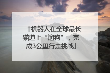 机器人在全球最长猫道上“遛狗”，完成3公里行走挑战