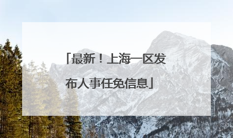 最新！上海一区发布人事任免信息