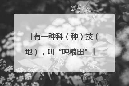 有一种科（种）技（地），叫“吨粮田”