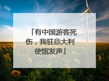 有中国游客死伤，我驻意大利使馆发声