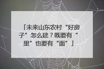 未来山东农村“好房子”怎么建？既要有“里”也要有“面”
