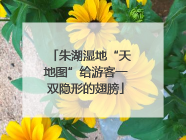 朱湖湿地“天地图”给游客一双隐形的翅膀