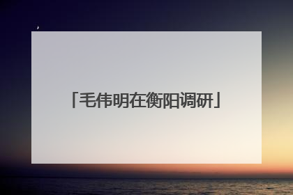 毛伟明在衡阳调研