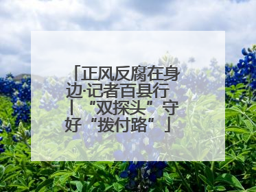 正风反腐在身边·记者百县行丨“双探头”守好“拨付路”