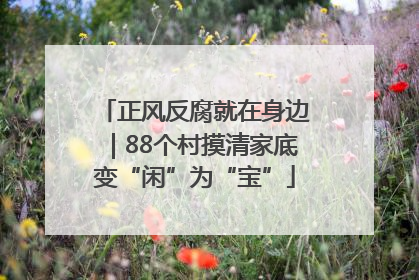 正风反腐就在身边｜88个村摸清家底变“闲”为“宝”