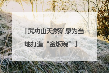 武功山天然矿泉为当地打造“金饭碗”