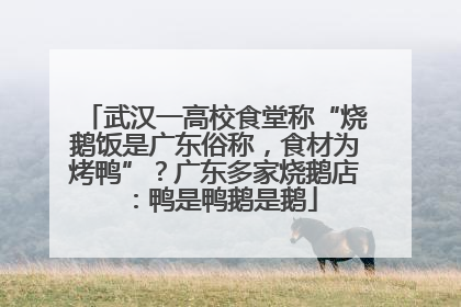 武汉一高校食堂称“烧鹅饭是广东俗称，食材为烤鸭”？广东多家烧鹅店：鸭是鸭鹅是鹅