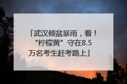 武汉倾盆暴雨，看！“柠檬黄”守在8.5万名考生赶考路上