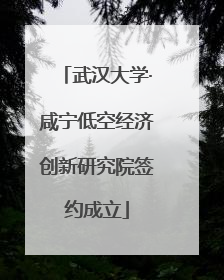 武汉大学·咸宁低空经济创新研究院签约成立