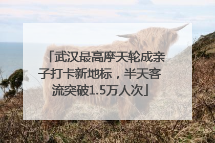 武汉最高摩天轮成亲子打卡新地标，半天客流突破1.5万人次
