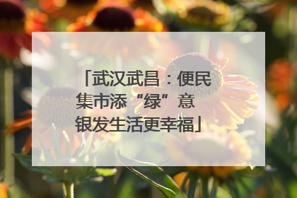 武汉武昌：便民集市添“绿”意 银发生活更幸福