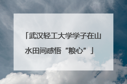 武汉轻工大学学子在山水田间感悟“粮心”