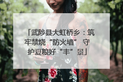 武陟县大虹桥乡：筑牢禁烧“防火墙” 守护夏粮好“丰”景