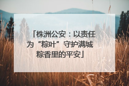 株洲公安：以责任为“粽叶”守护满城粽香里的平安