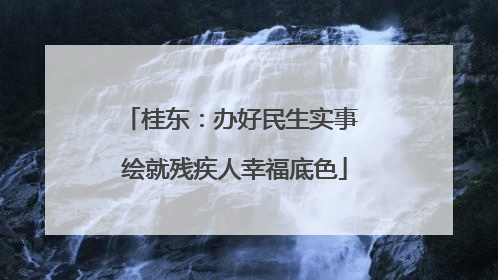 桂东：办好民生实事 绘就残疾人幸福底色
