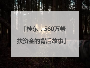 桂东：560万帮扶资金的背后故事
