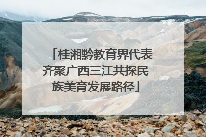 桂湘黔教育界代表齐聚广西三江共探民族美育发展路径