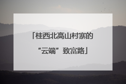 桂西北高山村寨的“云端”致富路