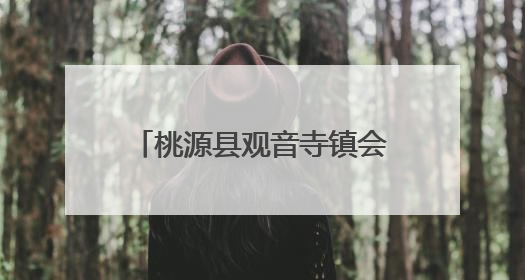 桃源县观音寺镇会人溪村党支部的“48小时”救援纪实