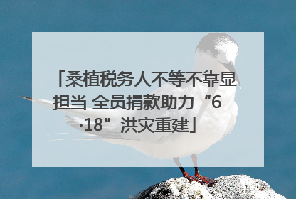 桑植税务人不等不靠显担当 全员捐款助力“6·18”洪灾重建