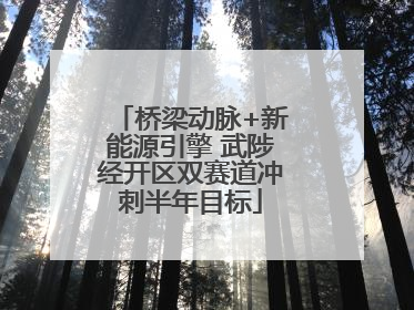桥梁动脉+新能源引擎 武陟经开区双赛道冲刺半年目标