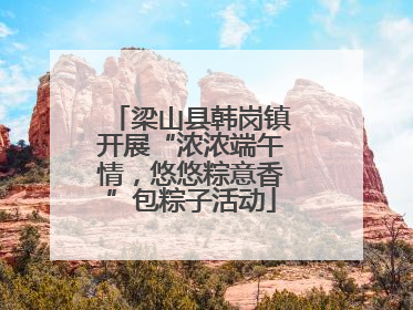 梁山县韩岗镇开展“浓浓端午情，悠悠粽意香”包粽子活动