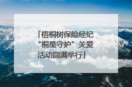 梧桐树保险经纪“桐星守护”关爱活动圆满举行