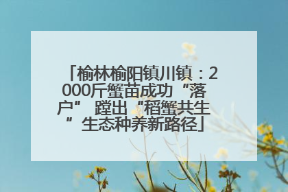 榆林榆阳镇川镇：2000斤蟹苗成功“落户” 蹚出“稻蟹共生”生态种养新路径