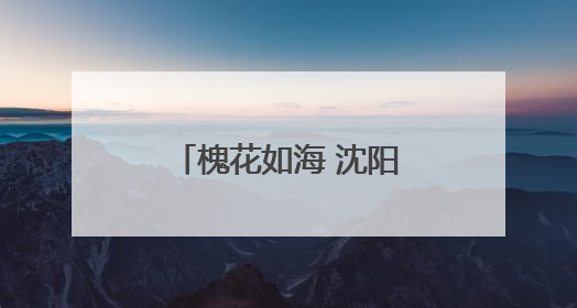 槐花如海 沈阳精彩开启国潮中医雅集汉服游园会