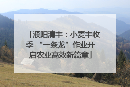 濮阳清丰：小麦丰收季 “一条龙”作业开启农业高效新篇章