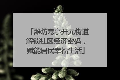 潍坊寒亭开元街道解锁社区经济密码，赋能居民幸福生活