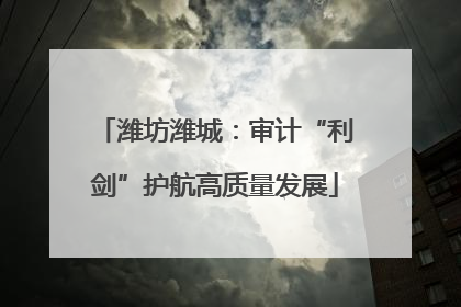 潍坊潍城：审计“利剑”护航高质量发展