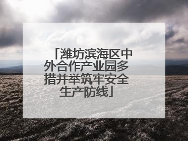 潍坊滨海区中外合作产业园多措并举筑牢安全生产防线