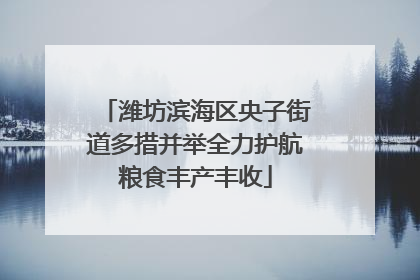 潍坊滨海区央子街道多措并举全力护航粮食丰产丰收
