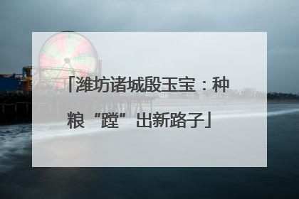 潍坊诸城殷玉宝：种粮“蹚”出新路子