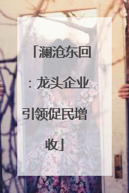 澜沧东回：龙头企业引领促民增收