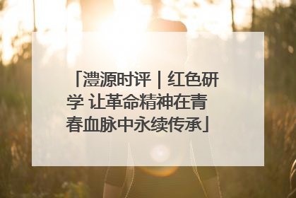 澧源时评｜红色研学 让革命精神在青春血脉中永续传承