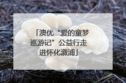 澳优“爱的童梦巡游记”公益行走进怀化溆浦